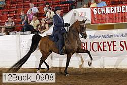 12buck_0908 proof