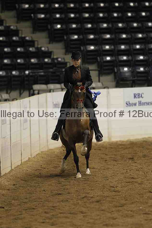 Proof 12buck_0910