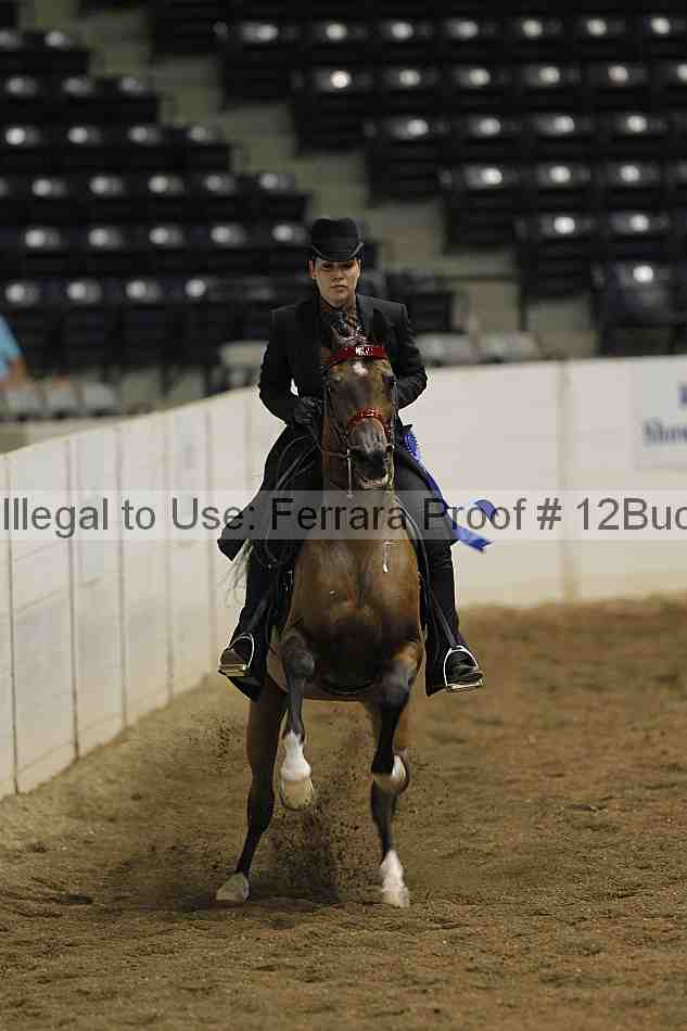 Proof 12buck_0911