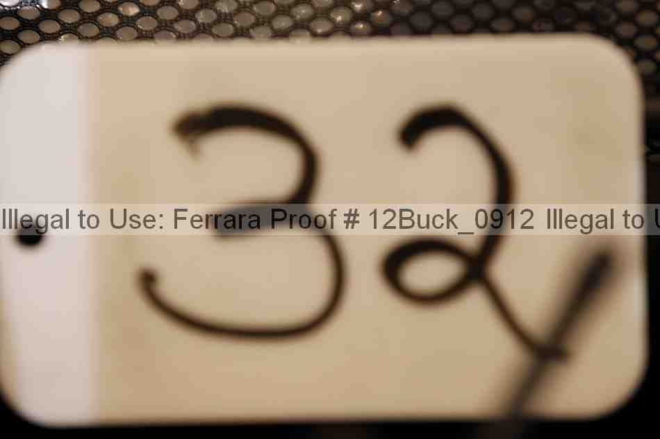 Proof 12buck_0912