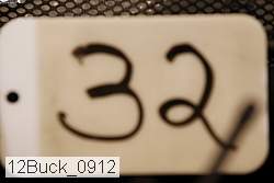12buck_0912 proof