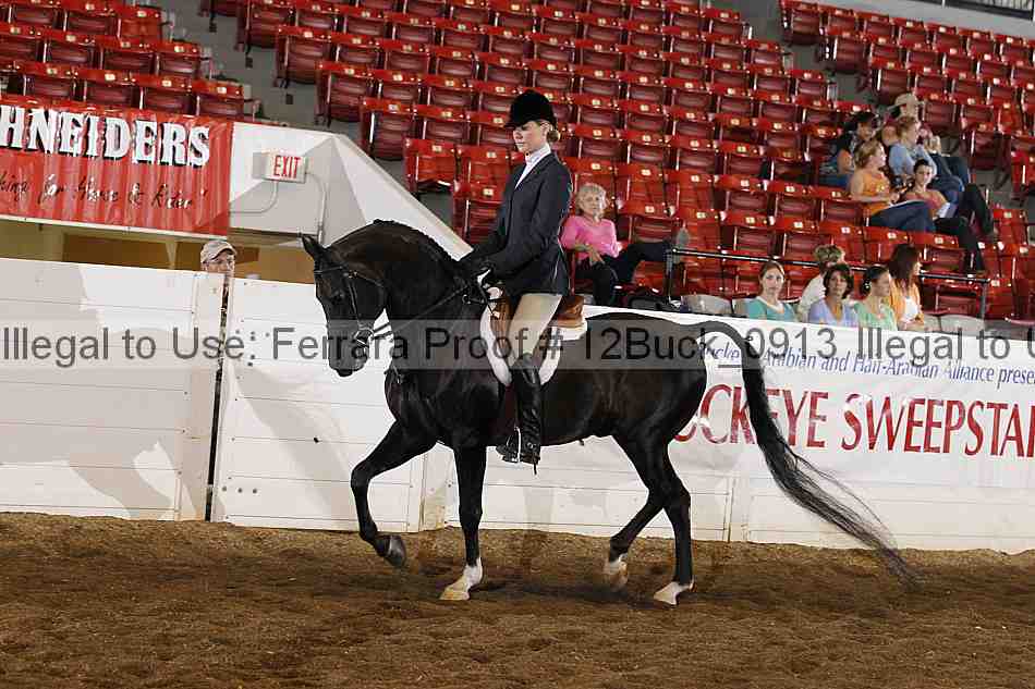 Proof 12buck_0913