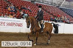 12buck_0914 proof