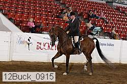 12buck_0915 proof