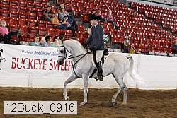 12buck_0916 proof