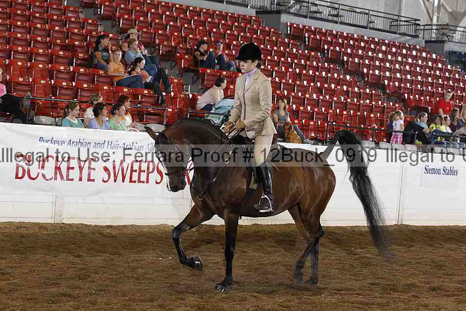Proof 12buck_0919