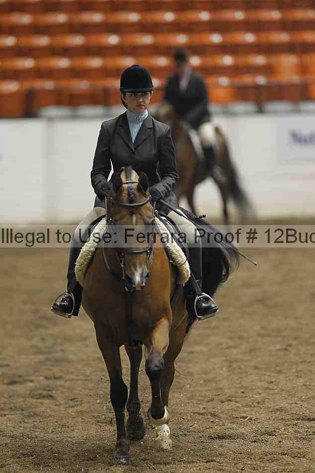 Proof 12buck_0920
