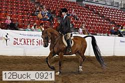 12buck_0921 proof