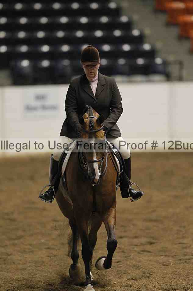 Proof 12buck_0922