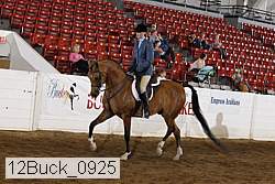 12buck_0925 proof