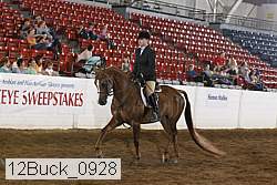 12buck_0928 proof