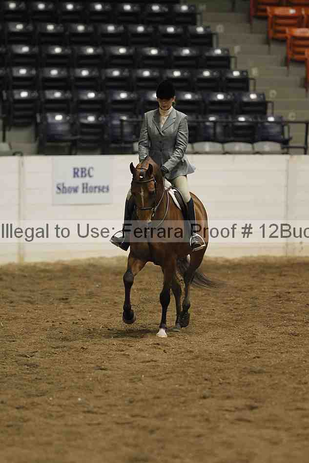 Proof 12buck_0929