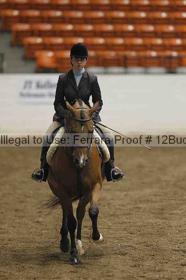 Proof 12buck_0932