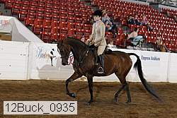 12buck_0935 proof