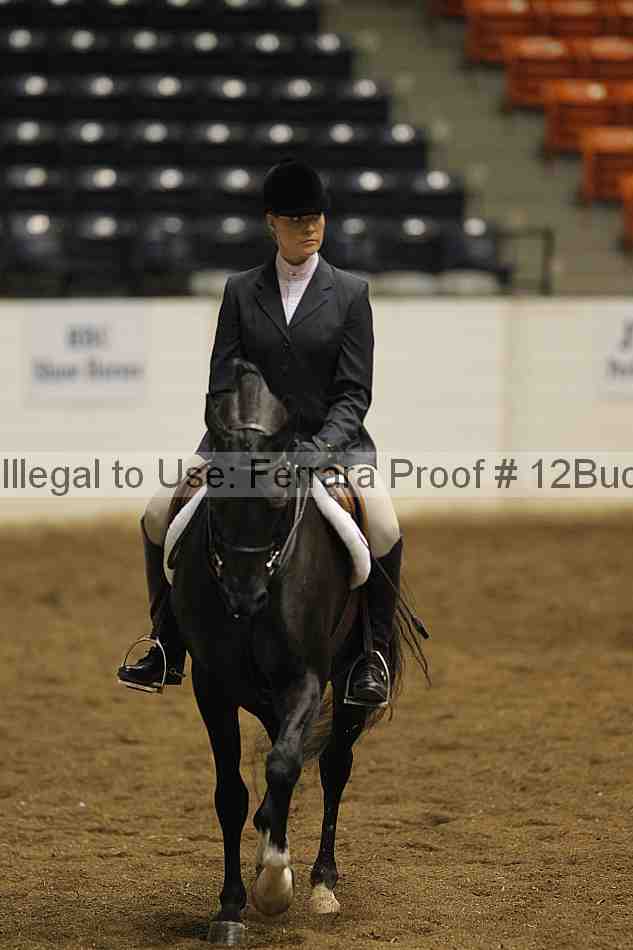 Proof 12buck_0936