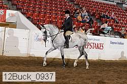 12buck_0937 proof