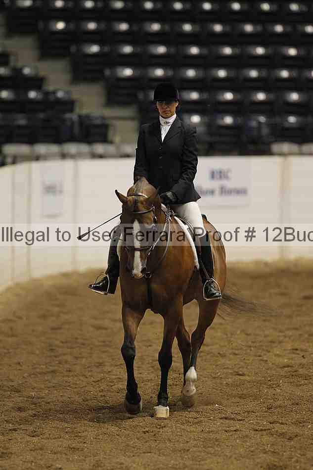 Proof 12buck_0938