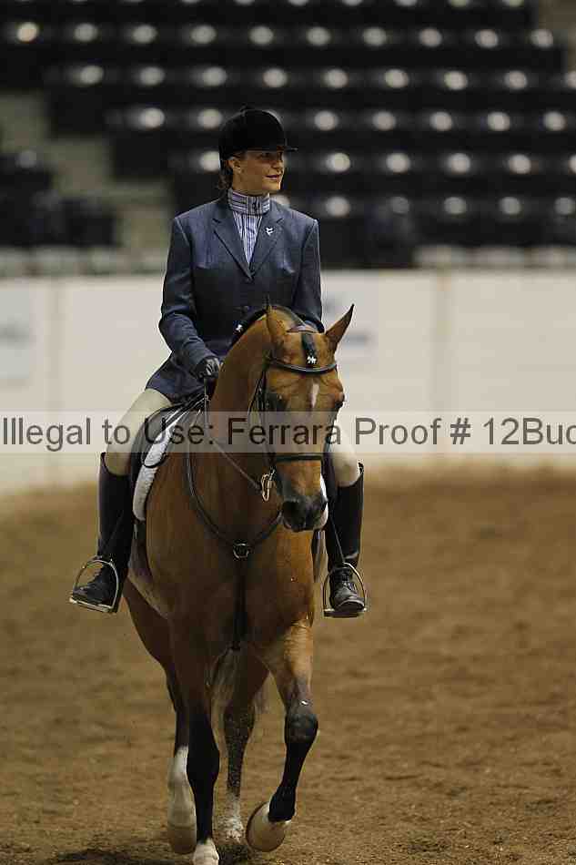Proof 12buck_0941