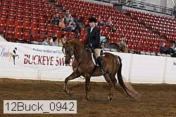 12buck_0942 proof