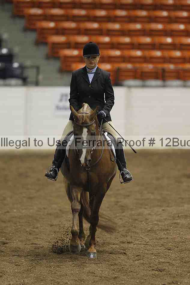 Proof 12buck_0943