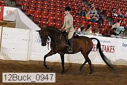 12buck_0947 proof