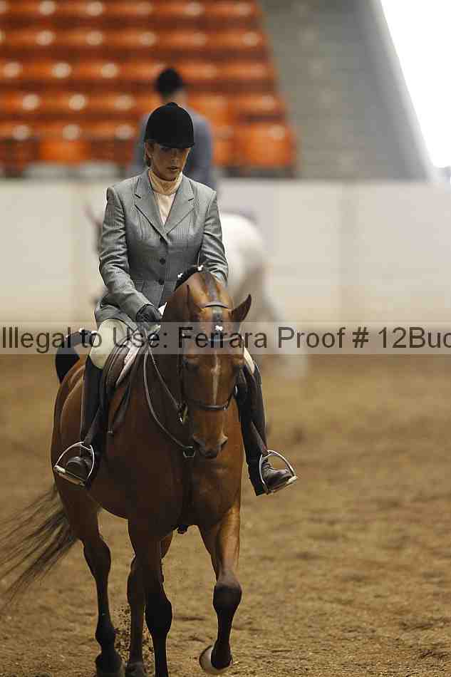 Proof 12buck_0948