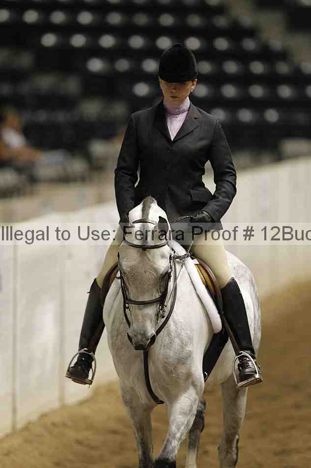 Proof 12buck_0951