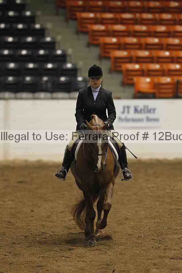 Proof 12buck_0955