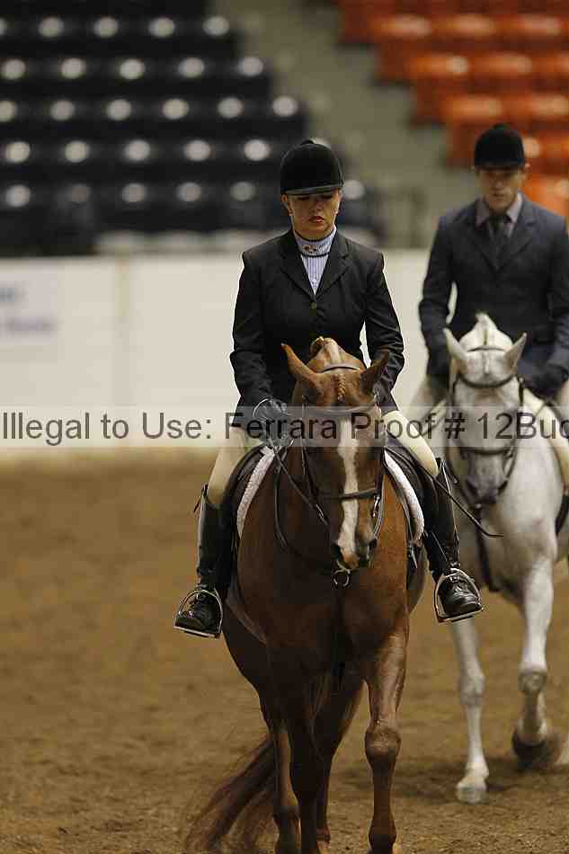 Proof 12buck_0958