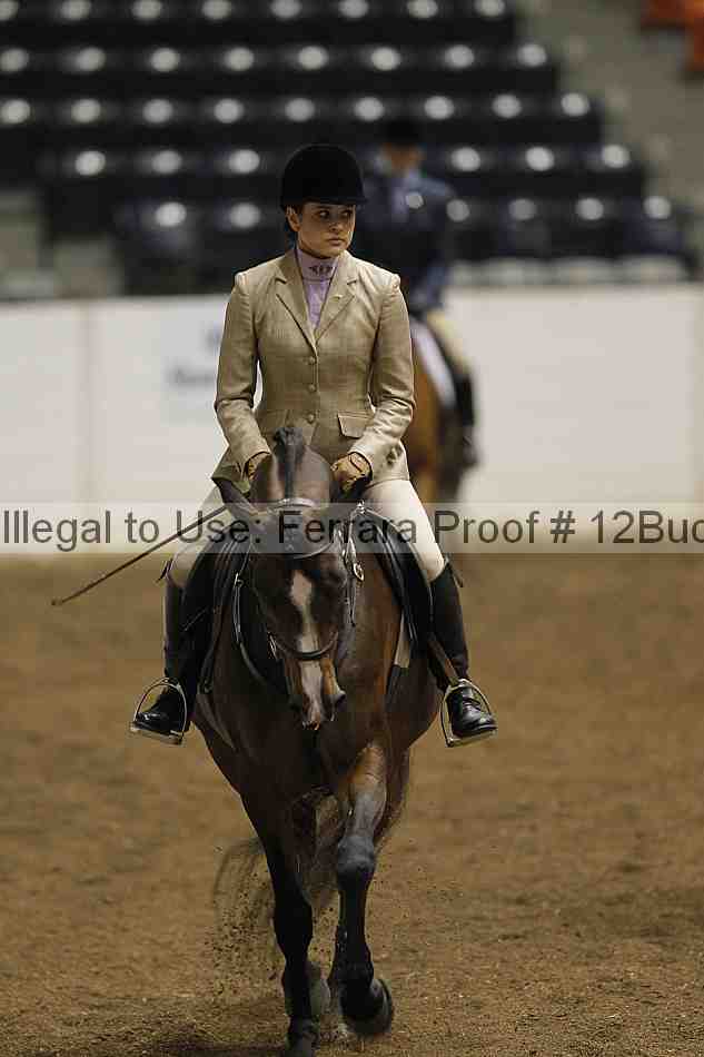 Proof 12buck_0960