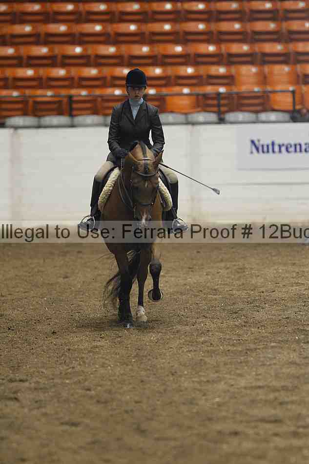 Proof 12buck_0961