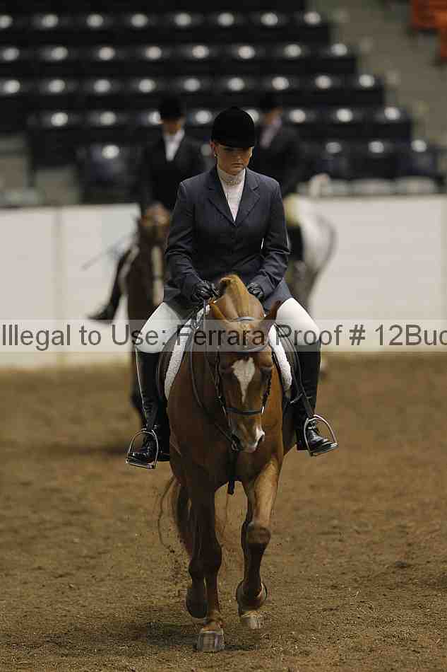 Proof 12buck_0962