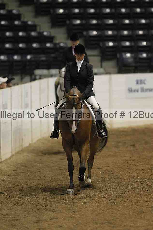 Proof 12buck_0963