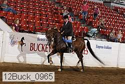 12buck_0965 proof