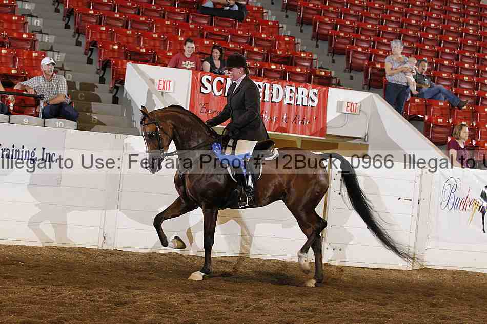 Proof 12buck_0966