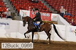 12buck_0966 proof