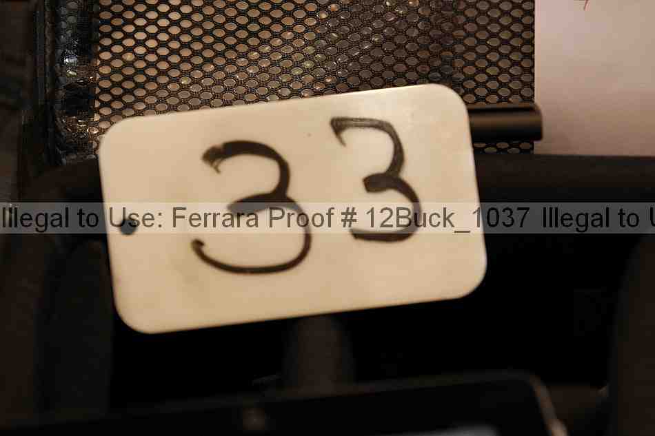 Proof 12buck_1037