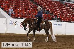 12buck_1045 proof