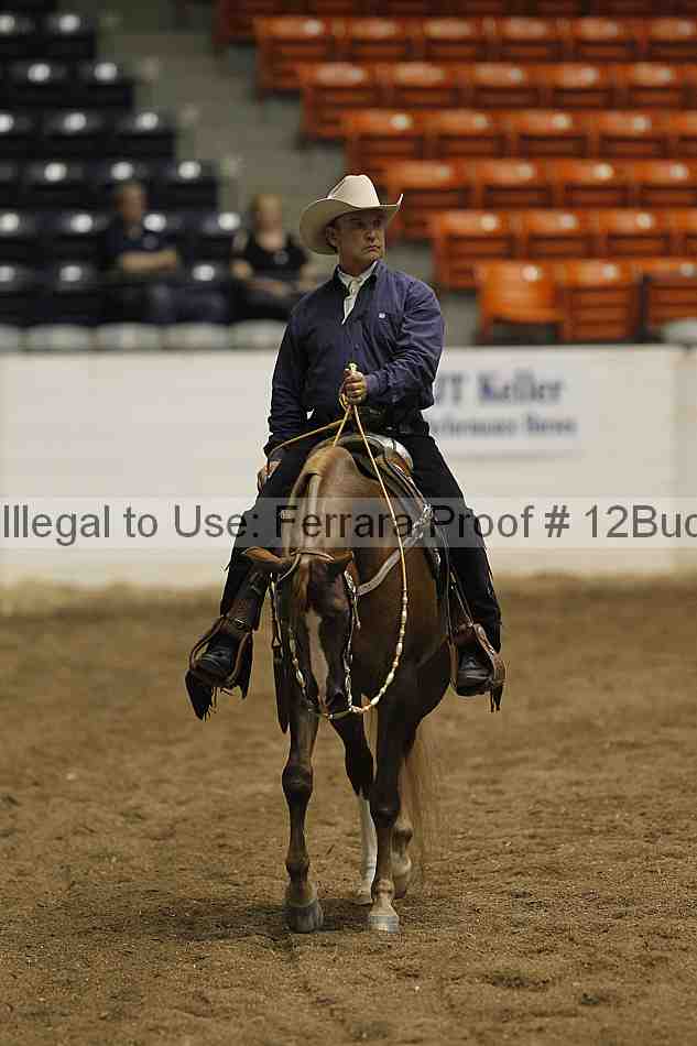Proof 12buck_1047