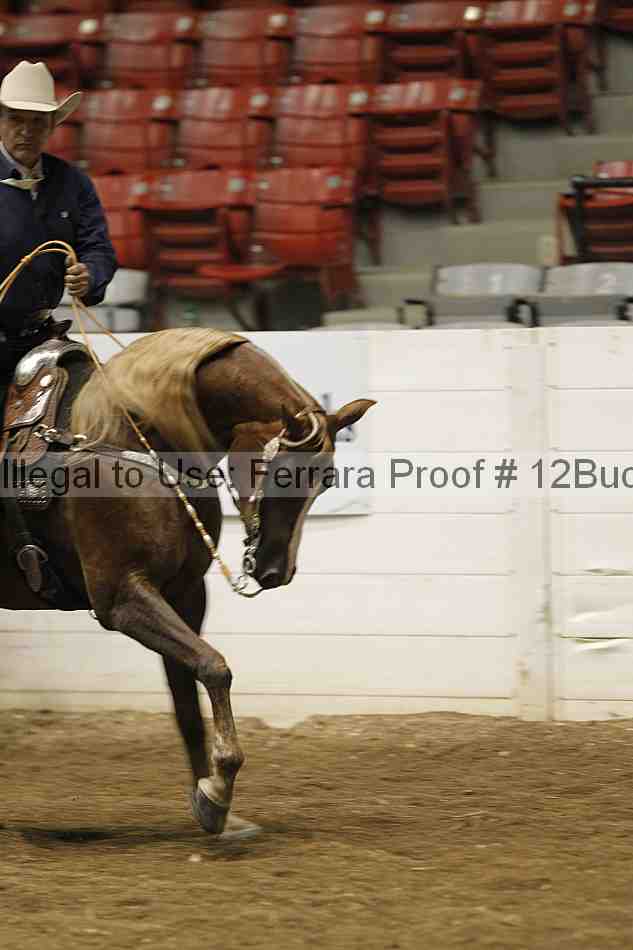 Proof 12buck_1049