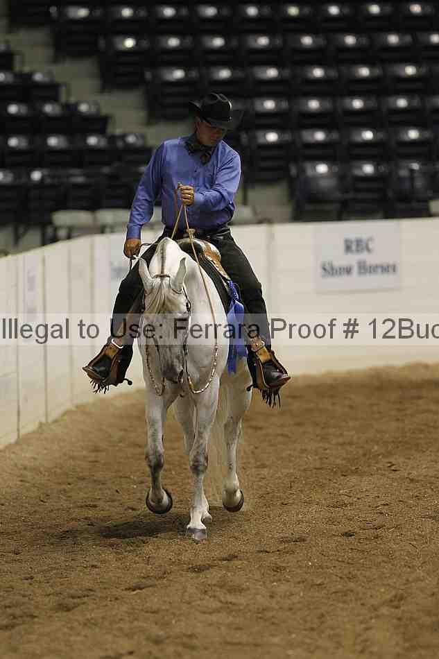 Proof 12buck_1051