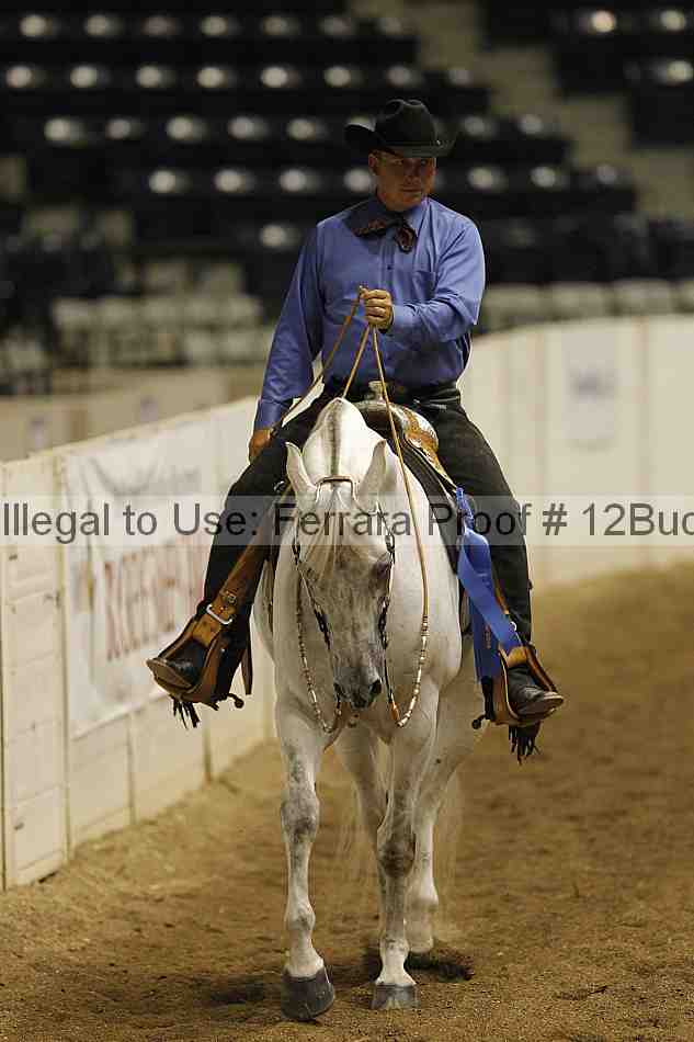 Proof 12buck_1052