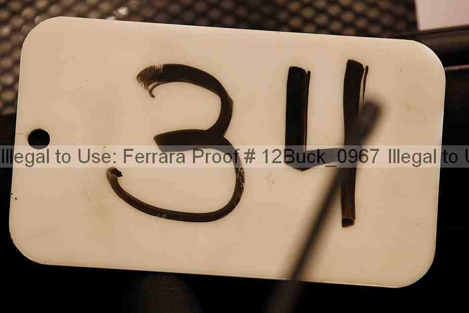 Proof 12buck_0967