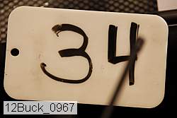12buck_0967 proof