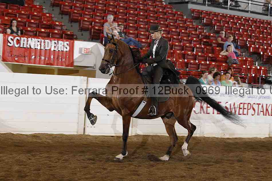 Proof 12buck_0969