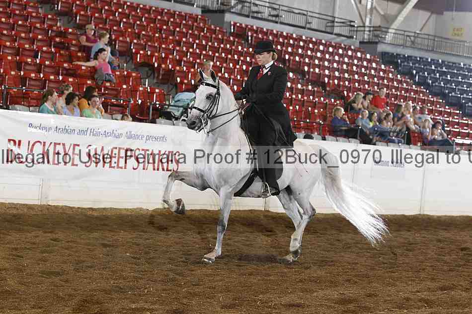 Proof 12buck_0970