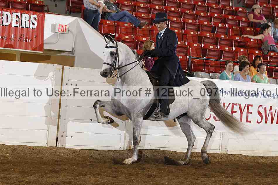 Proof 12buck_0971