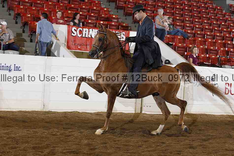 Proof 12buck_0972
