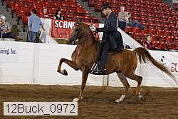 12buck_0972 proof