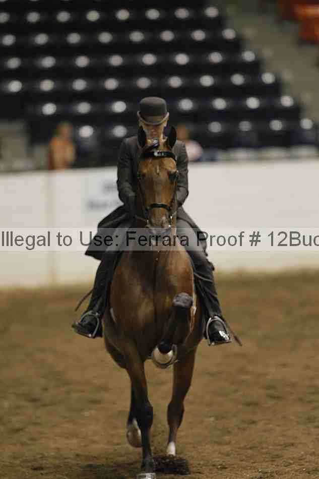 Proof 12buck_0973